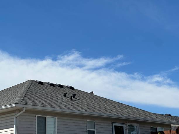 Asphalt Shingles Roofing in Westfield Center, OH